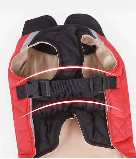 Red Dog Coat with 40cm Back Length