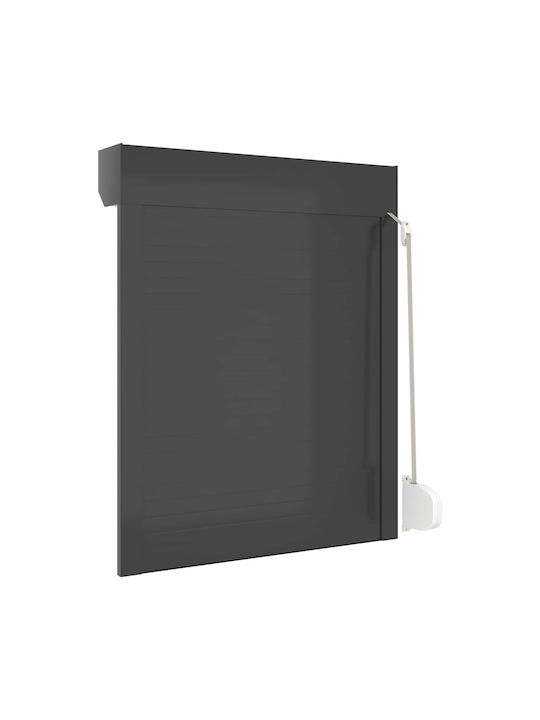 vidaXL Aluminum Roller Shutter W80xH100cm