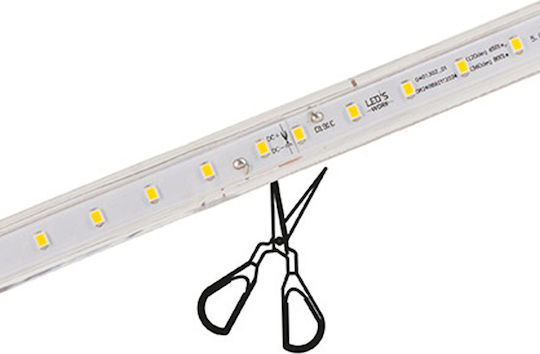 123led Ταινία LED Ψυχρό Λευκό Φως