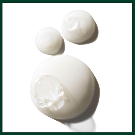 Aveda Color Control Shampoos für Gefärbt Haare 50ml