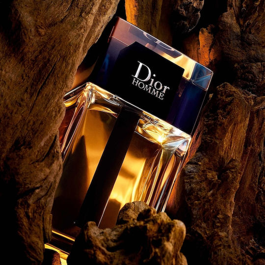Dior Homme Eau de Toilette 100ml
