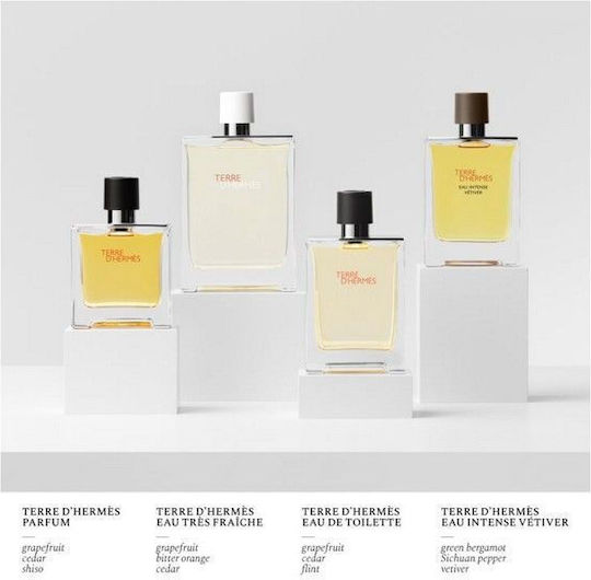 Hermes Terre D' Hermes Reines Parfüm 200ml