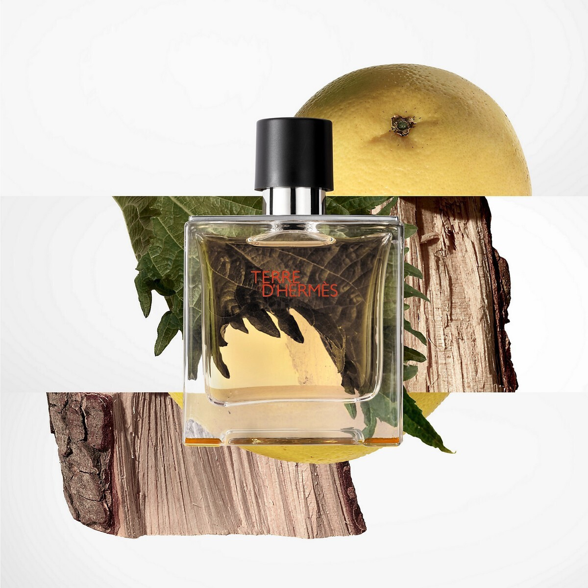 Hermes Terre D' Hermes Pure Parfum 200ml