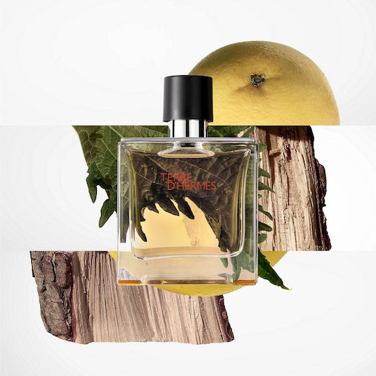 Hermes Terre D' Hermes Reines Parfüm 200ml