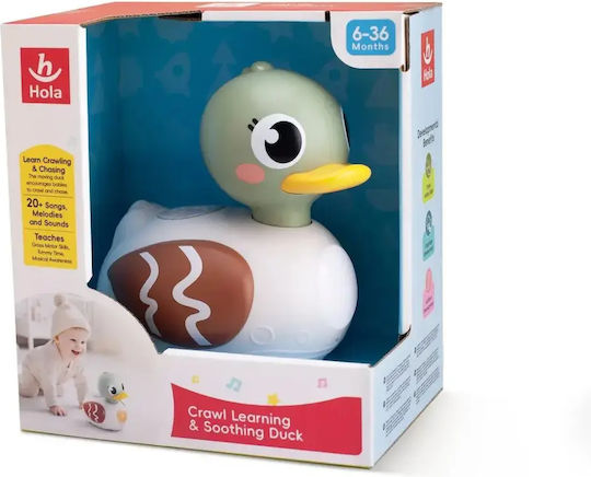 Hola Toys Jucărie de Activitate pentru Bebeluși cu Muzică, Lumină și Sunete pentru 36+ Luni