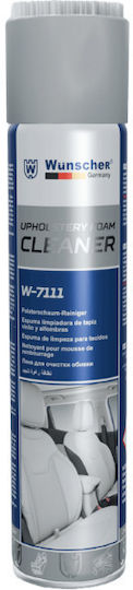 Wünscher Wünscher Autopflege Für Autositztaschen Reinigungs-Schaumstoff 650ml