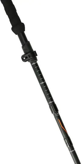 Whistler Teleskopische Wanderstöcke aus Aluminium 2er Pack Schwarze