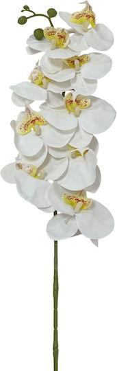 Zweigstelle Orchidee Schaumstoff 90cm Orange 25180 Code 16366 Zweigstelle Orchidee Schaumstoff 90cm Orange 25180 Code 16366