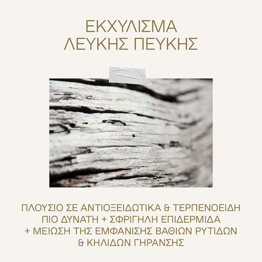 Korres White Pine Αντιγηραντική Κρέμα Προσώπου Νυκτός με Πεπτίδια 40ml