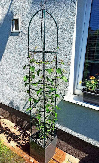 Plant Support Stand for Climbing Plants 190 X 40 X 40 Cm