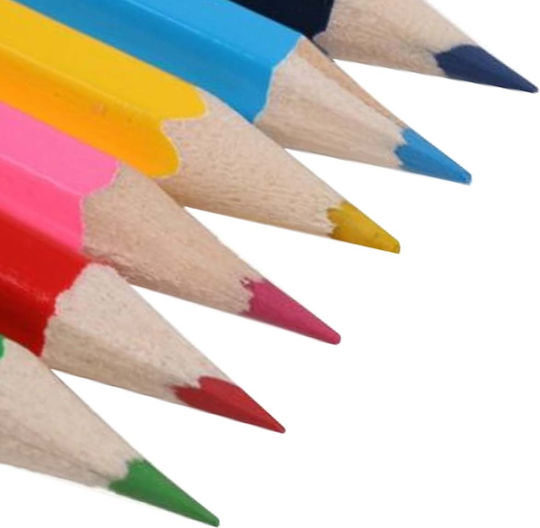 Topwrite Set 12 Colored Pencils Sharpener Storage Tube Multicolour