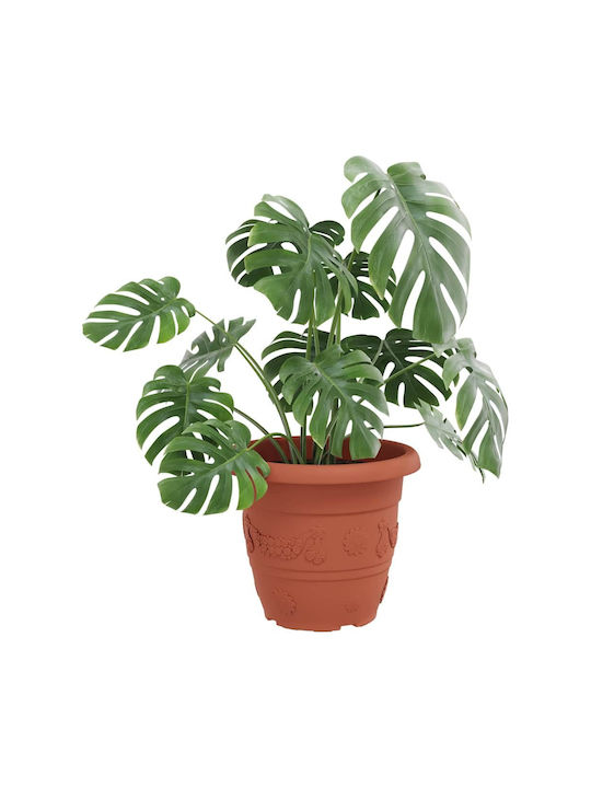 vidaXL Set of 24 Plastic Flower Pots Terracotta 34x28cm