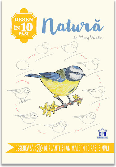 Didactica Publishing House Pictură