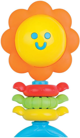 Winfun Baby Toy with Music Light and Sounds