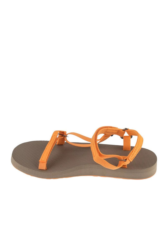 Teva