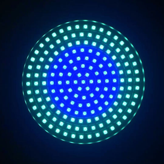 Ibiza Light Par Led Rgb 175 Leds Matrix