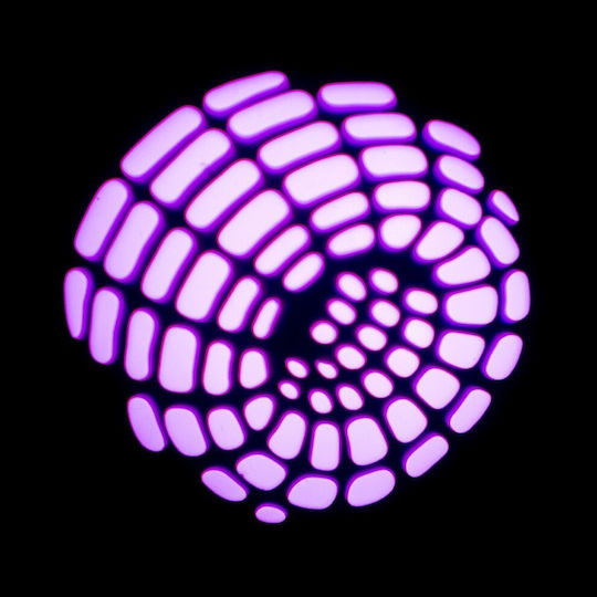 Ibiza Light Движеща Се Глава Gobo 30w RGB + Осветени Пръстени