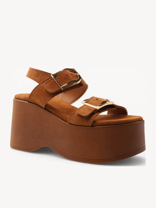 Ligglo C263