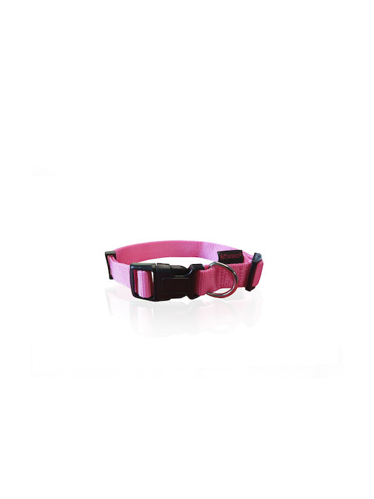 Pet Interest Plain Line