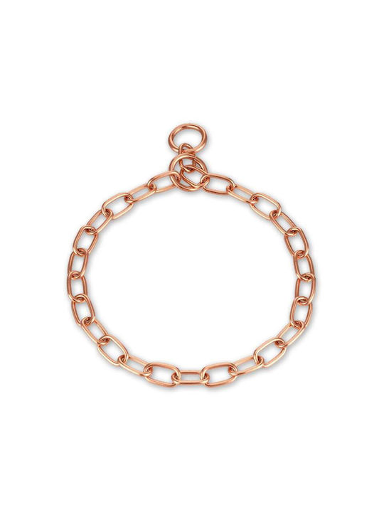 Sprenger Кожен ошийник за куче Верига в Златист цвят Medium 3мм x 50см