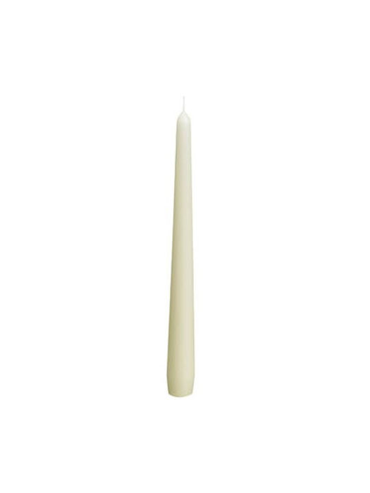 Candles Conical Taper Candle 245/24mm Bolsius 100 Pieces White