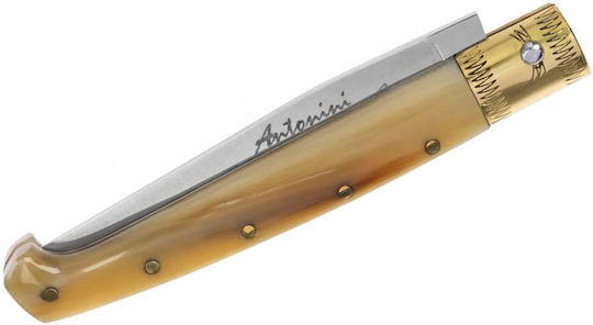 Antonini "M" Pattada Pocket Knife Brown