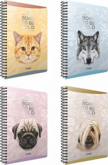 Gipta Spiral Ruled Notebook B5 3 Subjects Mild Various Designs or Colours