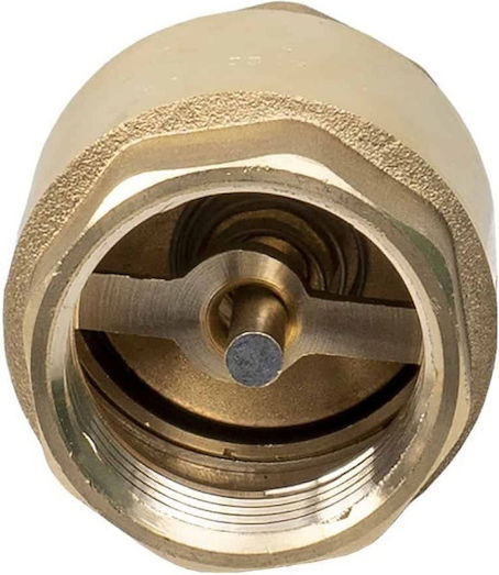 Check Valve Spring Closing Element Brass 1" Z-tools Zts 8323