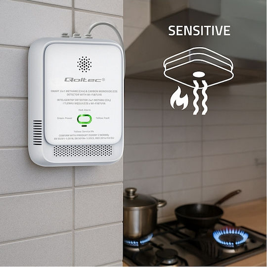 Natural Gas Carbon Monoxide Leak Sensor 2 In 1 Certified Qoltec Tuya Wi-fi 85db Alarm Led