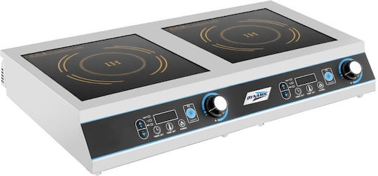 Dynamic Electric Inductive Burner 3.5kW