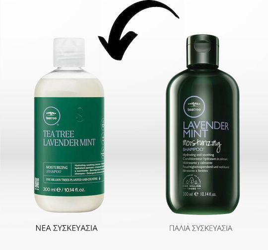 Paul Mitchell Tea Tree Lavender Mint Shampoos gegen Trockene Kopfhaut für Trocken Haare 300ml