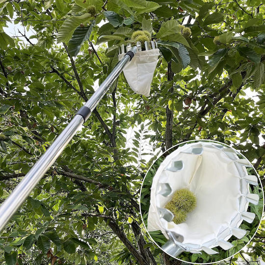 Telescopic Fruit Picker Zola 4 Interchangeable Heads 400 Cm Storage Bag Silver