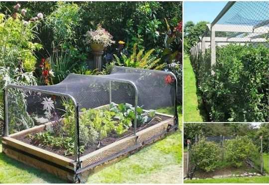Plasă De Repelare Pentru Păsări Pisici Rozătoare 3x4m
