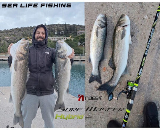 Surf Casting Set Rod Noeby Surf Master Hybrid 4.25m C.w:100 250g Toray Japan Carbon Fuji Guides Reel Noeby Legend 7 6000 Max Drag 25kg