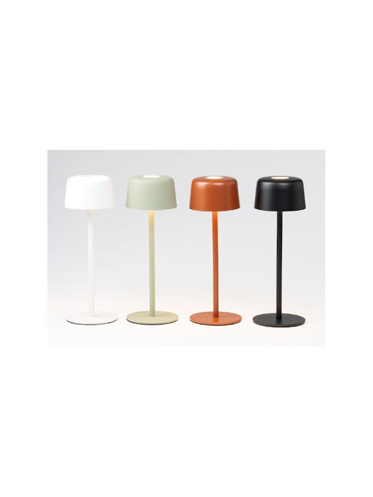 Zafferano Zafferano Outdoor Floor Lamp with Warm White Light Bronze
