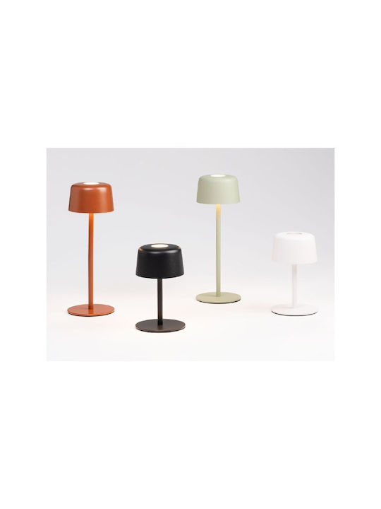 Zafferano Zafferano Outdoor Floor Lamp with Warm White Light Bronze