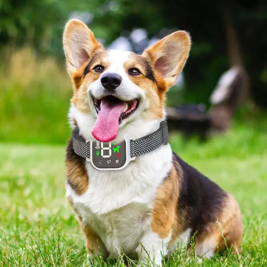 SPV Electric Dog Training Anti Barking Collar