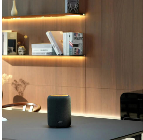 Smart Speaker Wiim Sound Lite Microphone Voice Assistant Control Wi-fi Bluetooth Black