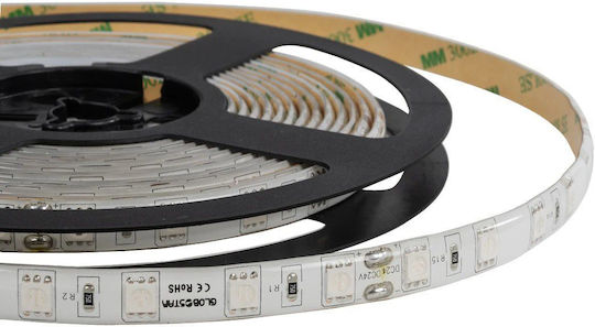 Osram LED Strip 24V Warm White Light 5m