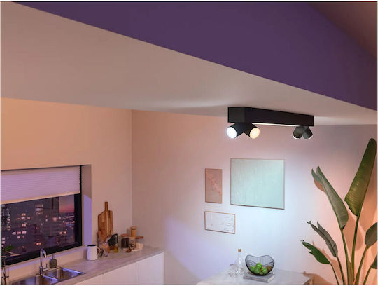 Philips Centris Decken- und Wandleuchte in Schwarz Farbe