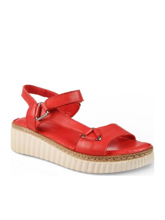 Air Anesis