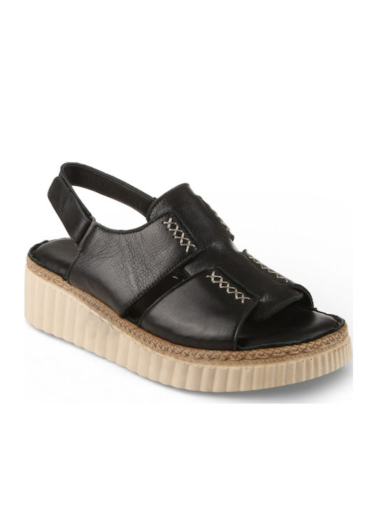 Air Anesis