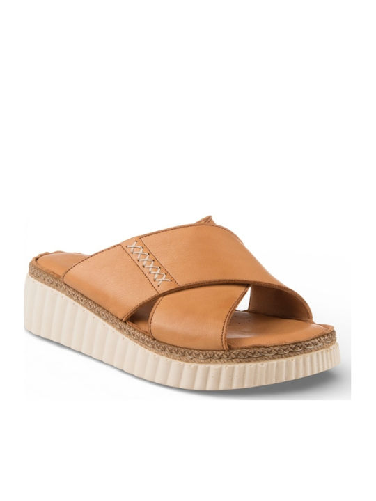Air Anesis