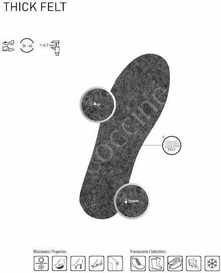 Coccine Tălpi Anatomice de Încălțăminte de Lucru 1032025/36 2 Bucăți