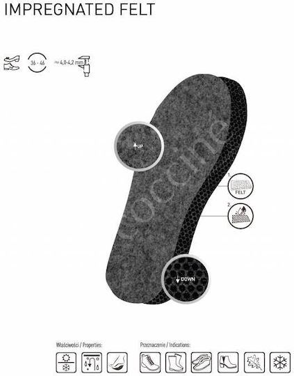 Coccine Anatomic Insoles 1032023/37 2 Pieces