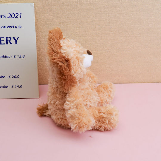 Plüsch- und Kuscheltiere 25 cm