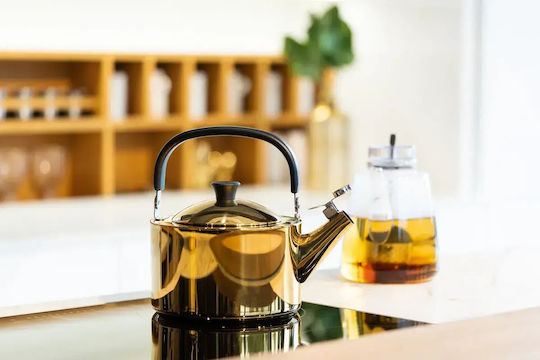 Vialli Design Βραστήρας Ανοξείδωτος 1500ml Vialli Design Βραστήρας Ανοξείδωτος 1500ml