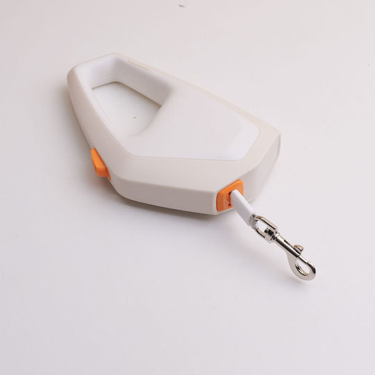 Foldable Dog Leash Lead Strap