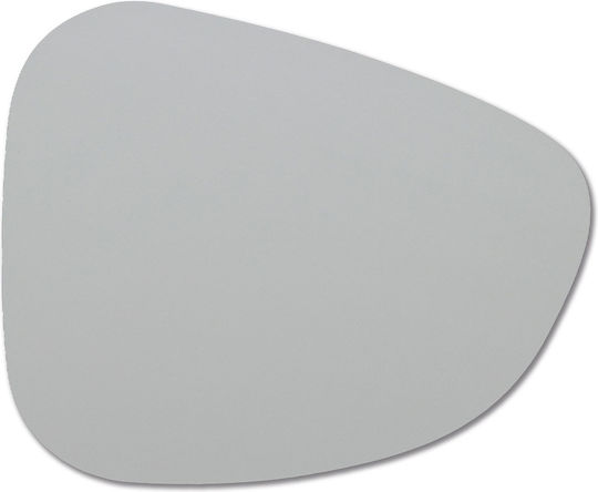 Placemats Made of Gray Artificial Leather 42x34cm