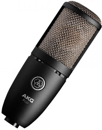 AKG Perception 220 Microfon Condensator XLR Montat pe amortizoare pentru Vocale